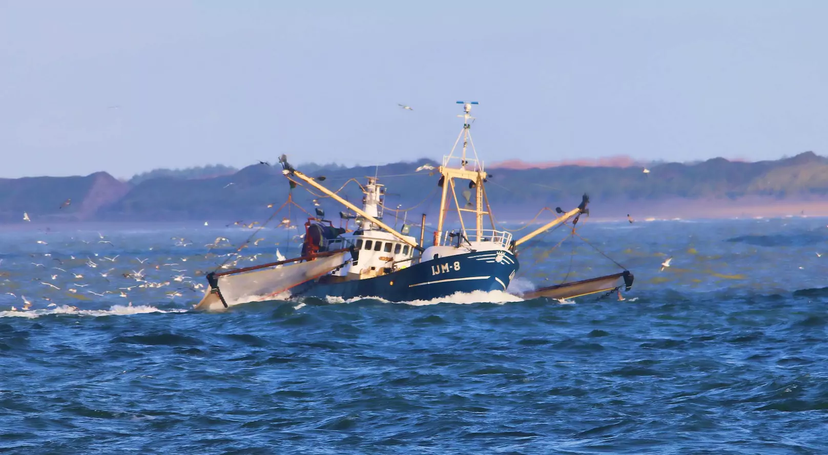 Read more about the article IJmuiden